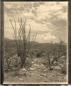 35. Retablo Nº 35 - Sonora Desert,