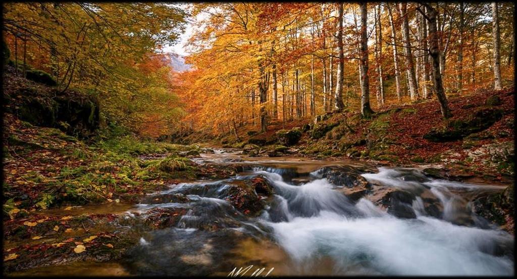 00 / 13.3017.30 domenica 9.0013.00* * Tolmezzo: 9.0013.00 / 13.3017.30 FVG CARD Scopri il Friuli Venezia Giulia in tutta tranquillità!