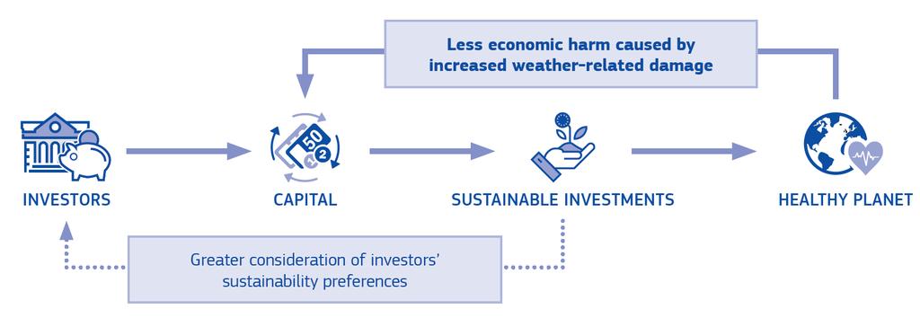 In più: focus dell Action Plan sul ruolo degli intermediari finanziari Gli intermediari finanziari con l attività di consulenza giocano un ruolo fondamentale nell indirizzare gli investimenti dei