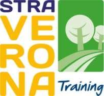 STRAVERONA TRAINING I NUMERI 280 iscritti al progetto; 11 incontri (Aprile-Maggio 2017); Una media di 120 partecipanti ad ogni