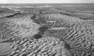 1. DEPOSIZIONALI Strutture da corrente DUNE Dune con