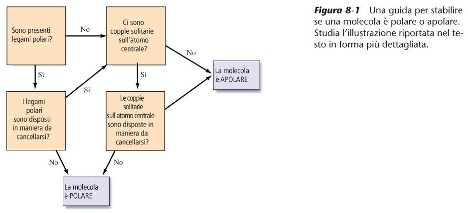 Molecole