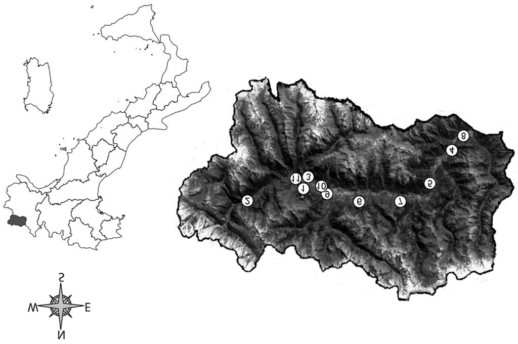 Carabidi in agroecosistemi della Valle d Aosta parametro di valutazione molto significativo perché strettamente correlato alla capacità di dispersione e di colonizzazione di nuovi ambienti da parte