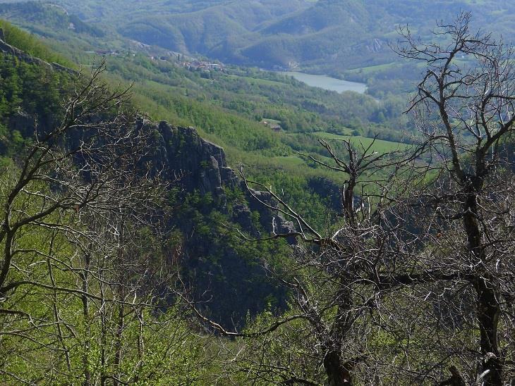 L auto si può lasciare lungo la strada, ci sono alcune piazzole prima e dopo la galleria. Seguire in ripida discesa il sentiero nel bosco seguendo i numerosi segni bianchi sui tronchi degli alberi.