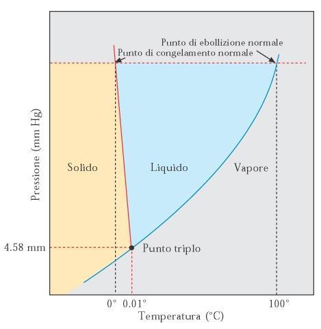 Ciascuna regione visualizza le temperature e le pressioni a cui la fase è stabile. Le linee di separazione tra due regioni qualsiasi indicano le condizioni in cui le due fasi coesistono in equilibrio.