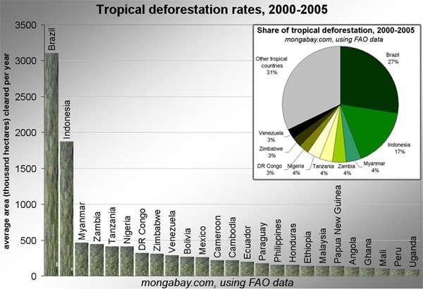 Tasso di deforestazione annuale (2000-2005) 7.3 milioni ha/anno (area della Repubblica Ceca) Pari allo 0.