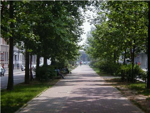 RETE VERDE PER MILANO Rete verde per Milano Proposta nel 2007 con lo scopo di creare un sistema del verde per la città di Milano.