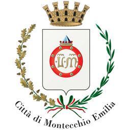 CODICE ASSEGNATO DALL UFFICIO COMUNE DI MONTECCHIO EMILIA Provincia di Reggio Emilia Settore Pubblica Istruzione Piazza della Repubblica, 1 42027 - Montecchio Emilia (RE) Tel.