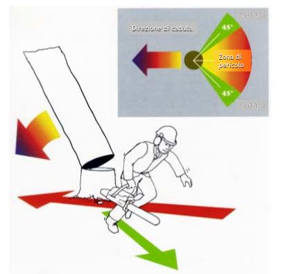 Azioni preliminari l abbattimento