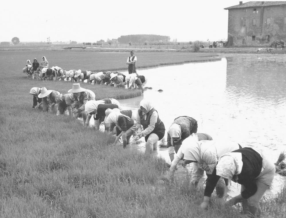 agraria Nord e centro