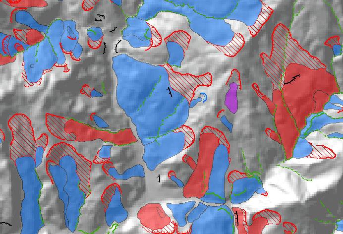 più ricca, dove il criterio di rappresentazione non è solo geometrico, ma anche morfogenetico e morfoevolutivo.