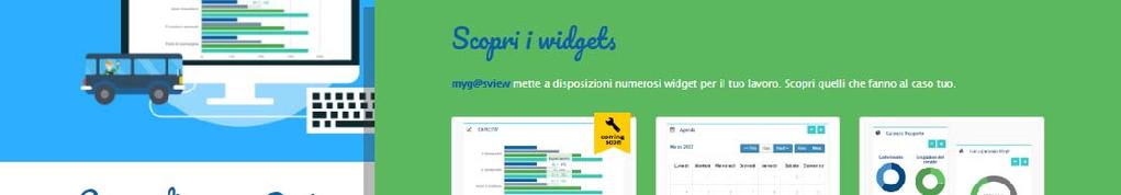 widgets: semplici pillole formative che descrivono il funzionamento e quali dati