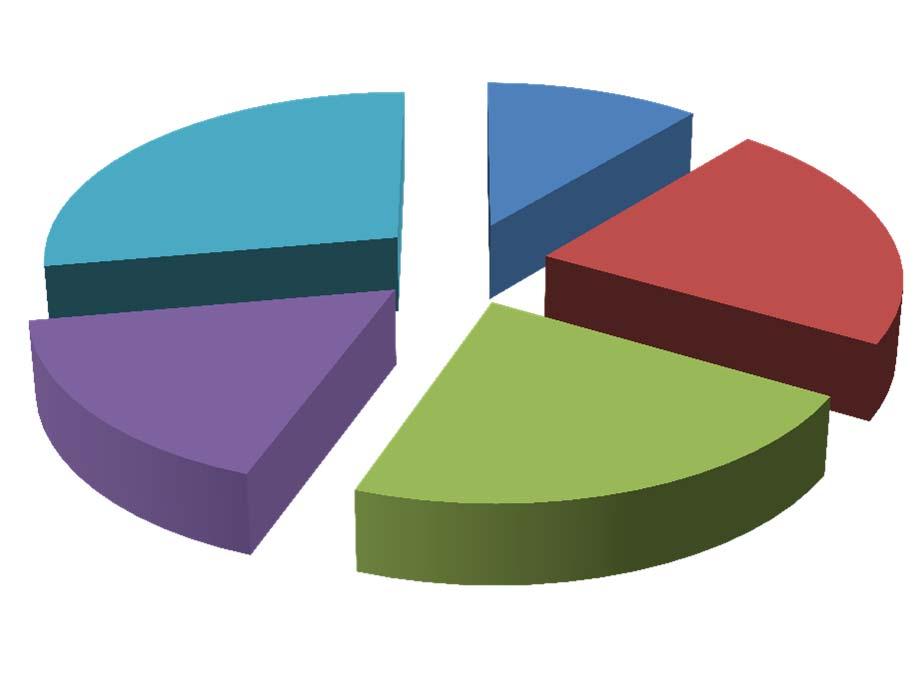 Tempi medi di pagamento delle imprese cooperative biellesi nel II semestre 2013 Committenza pubblica Committenza privata Oltre 180 giorni 28% A 60