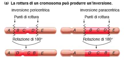 Inversione: In seguito ad una