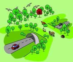 Le infrastrutture verdi artificiali sono utili per migliorare la funzionalità ecologica nei territori in cui essa non è adeguata Da: Blasi et al.
