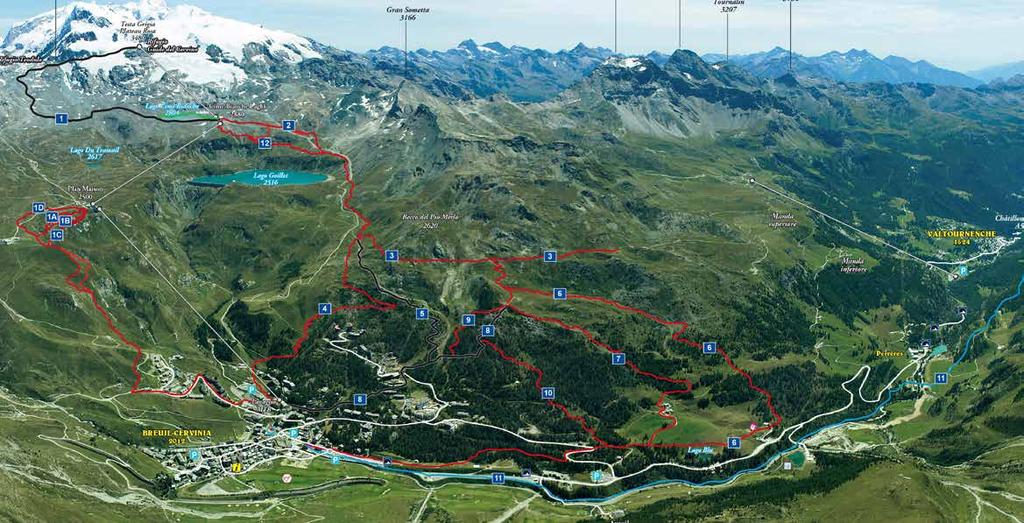 10 Estate2019 Estate 2019 11 Cime Bianche Trail (Sezione) BIKE PARK del cervino 1 1A 1B 1C 1D 2 Dark trail Plan Maison Napo Trail Jamais Moll Trail Cime Bianche Trail