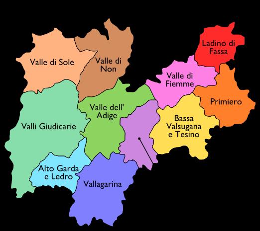 PERIODO PRE-AZIENDALE 1995 11 USL, enti distinti dotati di autonomia gestionale, tecnica, amministrativa, patrimoniale e contabile che nella provincia di Trento coincidevano con il territorio dei