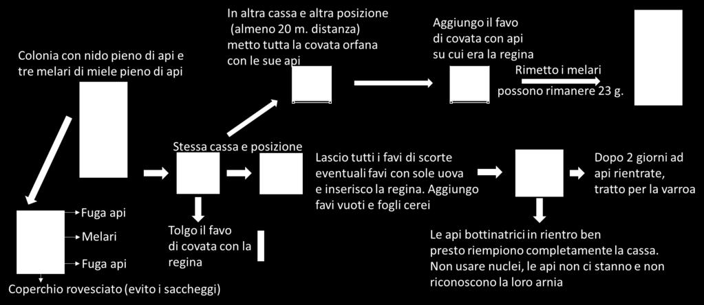 questi nuclei rispetto al numero di colonie,