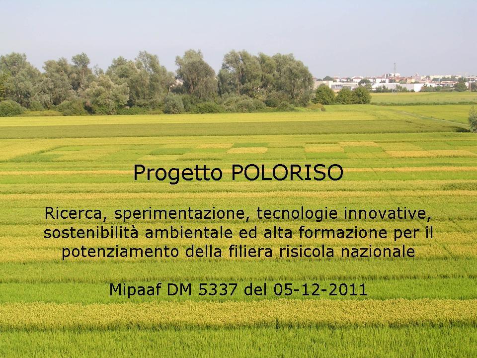 Progetto POLORISO Incontro di coordinamento della attività scientifica del progetto CRA -Unità di Ricerca per la risicoltura Vercelli, 5 aprile 2013 LR1: Agronomia, gestione della coltura e