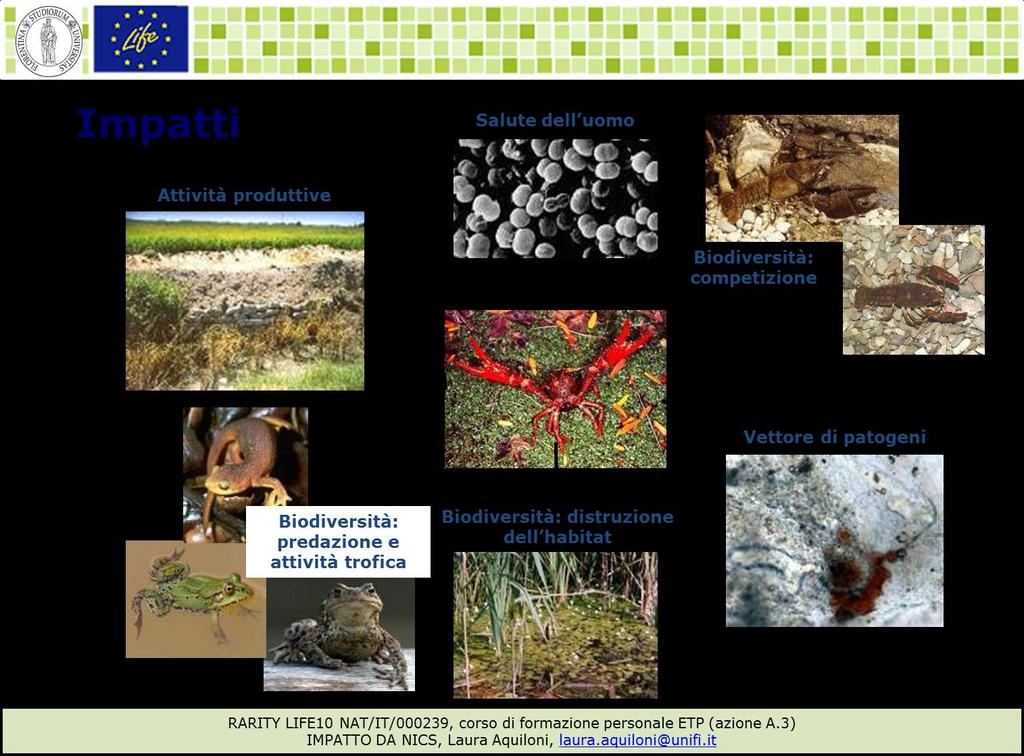 4 quindi prudenziali e il reale costo che i governi di tutto il mondo, Italia inclusa, devono sostenere a causa delle specie alloctone invasive è molto più alto.