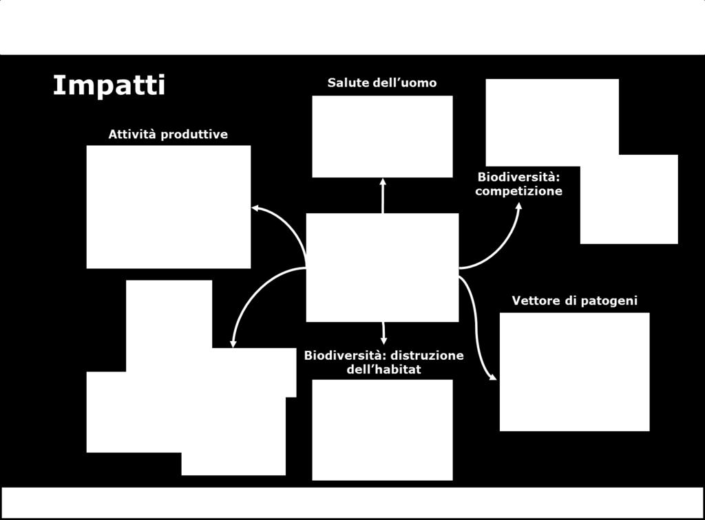 ESEMPI DI IMPATTI Impatti indiretti: impatti causati dall azione sinergica di più fattori, tra cui la specie L impatto invasive, esercitato ma in cui il dai contributo gamberi dei alloctoni singoli