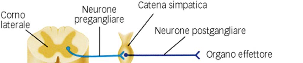 Sistema