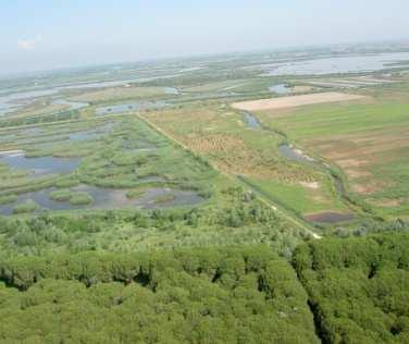 VALLEVECCHIA, CAORLE (VE): AGRICARE, LA TECNOLOGIA PIU AVANZATA Sono in corso nell ambito del Progetto LIFE+ Agricare le semine delle colture primaverili, applicando le tecniche più avanzate dell