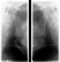 Come noto, una diagnosi accurata richiede la possibilità di osservare in molti modi differenti.