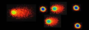 Test dellacometa(comet Assay) Il test della Cometa in cellule umane èun test di rapida esecuzione per la visualizzazione diretta del danno precoce al DNA di natura pre mutagena, quindi ancora