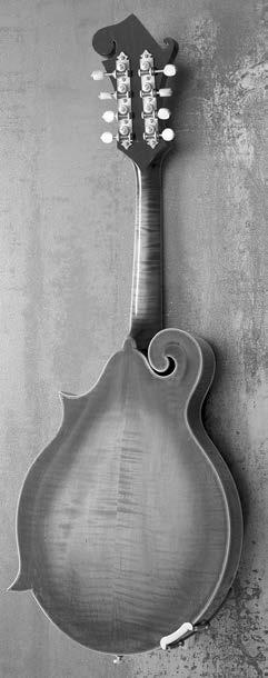 di finiture e di materiali. La maggior parte dei migliori mandolinisti bluegrass utilizza questo tipo di strumento.