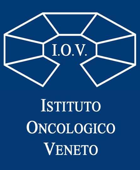 Regione del Veneto Istituto Oncologico Veneto Istituto di Ricovero e Cura a Carattere Scientifico SCADENZA 21 GENNAIO 2019 AVVISO PER L ASSEGNAZIONE DI UNA BORSA DI STUDIO FINANZIATA CON I FONDI