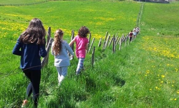 CACCIA AL TESORO IN FATTORIA Laboratorio caccia al tesoro in fattoria : orientamento