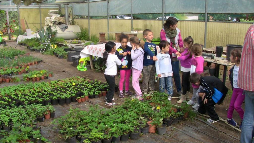 LA FATTORIA DI ALICE La "Fattoria di Alice" è un azienda agricola e sociale a conduzione biologica che la Cooperativa Sociale ALICE e l Associazione familiari e sostenitori sofferenti psichici della