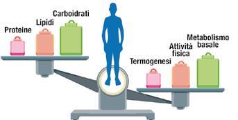 Bilancio energetico EQUILIBRATO quando le entrate e le uscite energetiche si