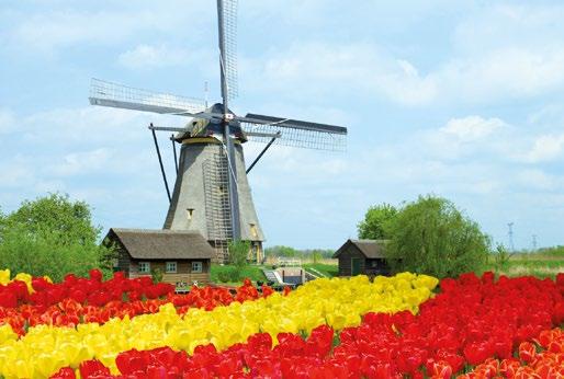 22 APRILE Rotterdam pensione completa pranzo in ristorante Alle ore 06.30 arrivo a Rotterdam.