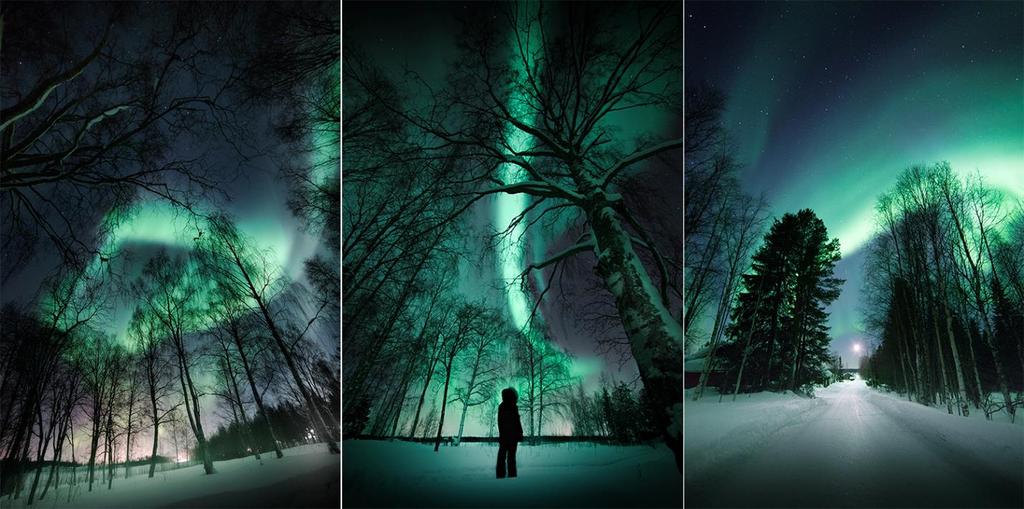 LA MAGIA DELL AURORA BOREALE IN LAPPONIA GENNAIO APRILE 2020 Immagina un luogo lontano, incontaminato, dove la notte il cielo si tinge di colori meravigliosi e le leggende degli spiriti che