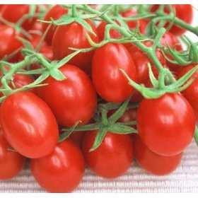 Elevata resistenza al dilavamento Ottima protezione del grappolo e delle bacche (pomodoro)