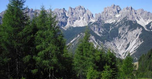 In quel Parco delle Dolomiti Friulane che l Unesco ha riconosciuto Patrimonio dell