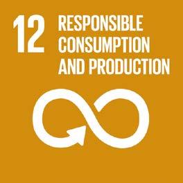 produzione e consumo sostenibili dell Agenda 2030 per lo sviluppo sostenibile delle Nazioni
