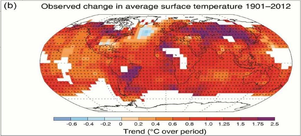 Cambiamenti osservati:temperatura I 10 ANNI PIU CALDI DEGLI ULTIMI 136 ANNI SI SONO SONOTUTTI VERIFICATI A PARTIRE DAL 2000 (AD ECCEZIONE DEL1998).