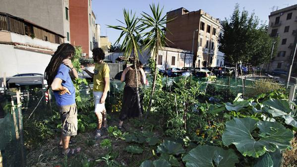 16.9 - Sostegno per la diversificazione delle attività agricole in attività riguardanti l'assistenza sanitaria, l'integrazione sociale, l'agricoltura sostenuta dalla