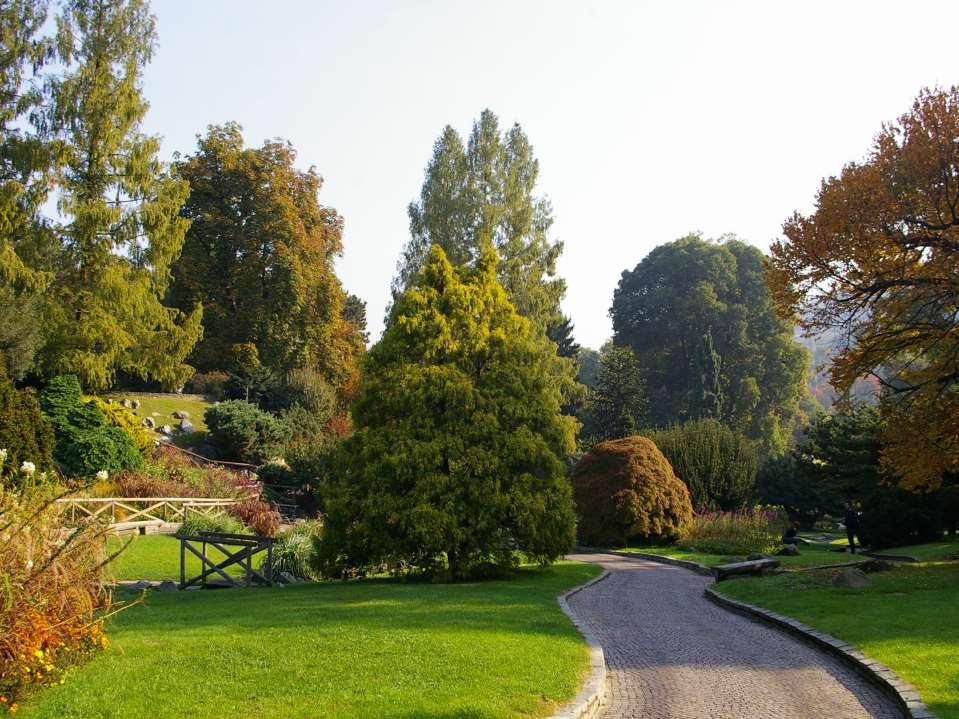 Importanza della fruizione degli spazi verdi pubblici La DOTAZIONE DI SPAZI VERDE è uno dei fattori determinanti per la salute di tutte le classi di