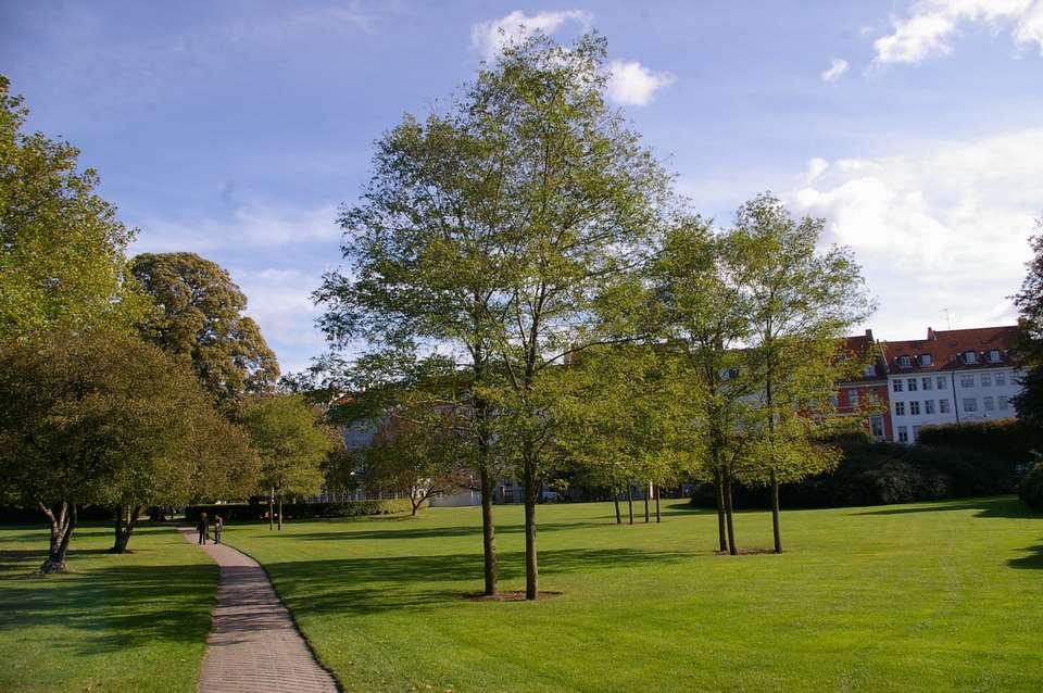 1. La natura nei contesti urbani riduce lo stress Contact with nature in urban areas can have numerous health benefits. Copenaghen Honold, J.