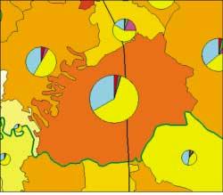 La ripartizione dei contributi alle emissioni di PM1 (figura 8) presenta caratteristiche molto simili rispetto a quella degli NOX.