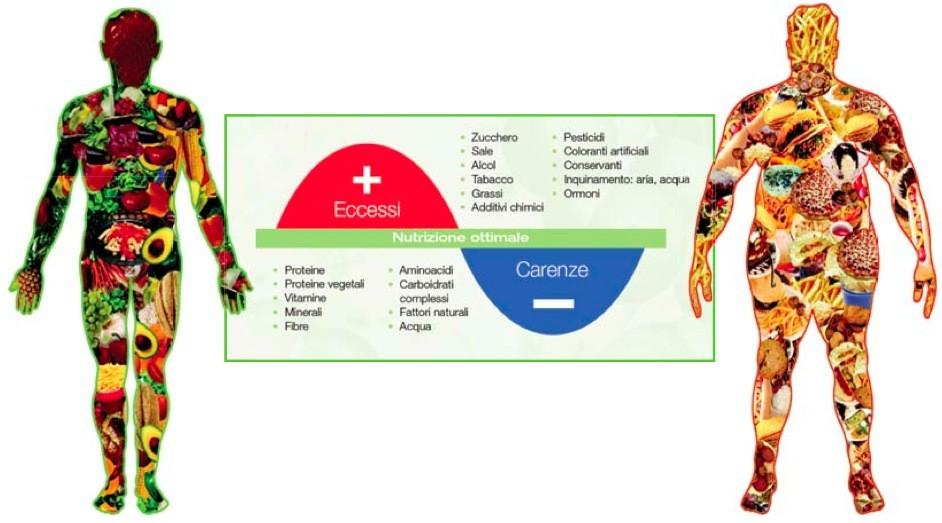 Carenze nutrizionali (micronutrienti, vitamine, sali minerali) nel Periodo Pre-concezionale Possono influenzare la capacità riproduttiva