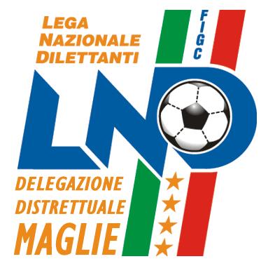 Stagione Sportiva 2007/2008 DELEGAZIONE DISTRETTUALE DI MAGLIE 73024 MAGLIE Via P. Refolo.