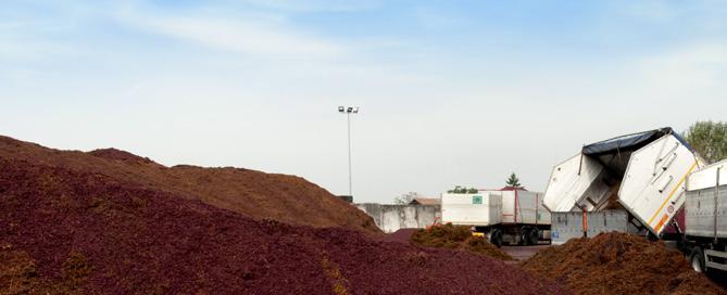 Dal mondo vitivinicolo Caviro Extra riceve ogni anno una quantità superiore a 100.000 tonnellate di vinaccia e feccia, pronta a trasformarla in ingredienti e prodotti ad alto valore aggiunto.