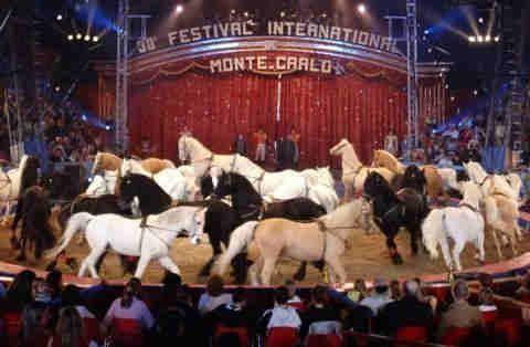 4 «Vietare gli animali nel circo?