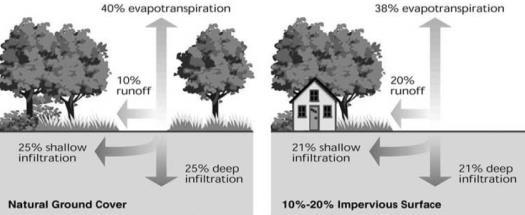 Infiltrazione, evapotraspirazione Il verde urbano In ambiente urbano il verde contribuisce alla gestione delle acque meteoriche,