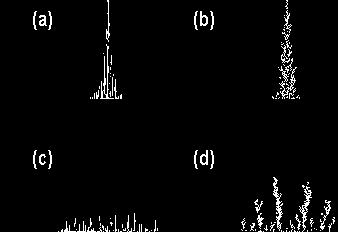 Esempio II il moto browniano Direzione e distanza sono variabili random nello spazio N-dimensionale.